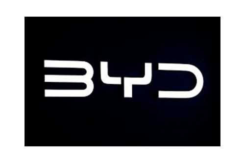 BYD Negativ